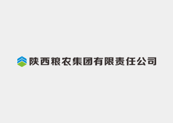 1000T伺服電動螺旋壓磚機生產(chǎn)滑板磚